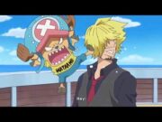 Chopper cute moments-One Piece