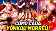 ENTENDA COMO CADA YONKOU MORREU EM ONE PIECE – HISTÓRIA COMPLETA