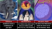 Facts You Should Know About JOY BOY – One Piece