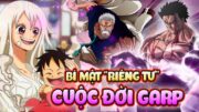 Garp Biết Luffy Là Nika Từ Nhỏ, Những Bí Mật Cuộc Đời Anh Hùng Garp