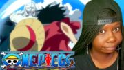 Luffy vs Hody Jones | One Piece-Fish-Man Island | Ep. 557-562