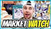 MARKET WATCH: FEHLENDE REPRINTS! | VORSCHAU: The Infinite Forbidden | HYPE & BUYOUTS | Yu-Gi-Oh!