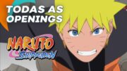 NARUTO SHIPPUDEN: Openings 1-20