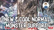 NEW & COOL NORMAL MONSTER SUPPORT ARCHETYPE! Yu-Gi-Oh!