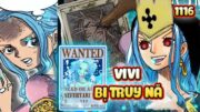 NÓNG ! Full One Piece 1116 | Lệnh Truy Nã ViVi , Lộ Diện Nữ Hoàng LiLy