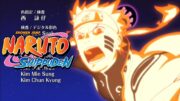 Naruto Shippuden – Ending 29 | Flame