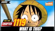 ONE PIECE CHAPTTER 1119 HINT 1 (pre-spoiler) NOOOOOO