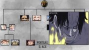 ONE PIECE D FAMILY TREE – Including Rocks D. Xebec!!