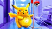 Pokemon Của Mình Mang Bầu! Pokemon Ngoài Đời Thực!