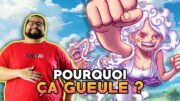 Pourquoi ça Gueule ? – One Piece 1118