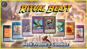 Ritual Beas Deck Profile + Combos  Yu-Gi-Oh! 2024 post BLTR – 100% IQ