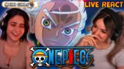 S HAWK IS GOING CRAZY! | One Piece Episode 1109 Live React