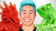 SPICY vs SOUR Food Art Challenge!