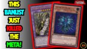 THIS BANLIST Just KILLED The YUGIOH META!