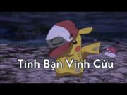 Tình Bạn Vĩnh Cửu | Cindy V | Pokémon – Ash & Pikachu【AMV】