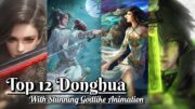 Top 12 Best Visually Stunning Donghua – 3D Anime/Donghua with Godlike/Best Animation/Graphics