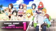 Top 5 Ecchi harem Anime You Should Watch Part 1