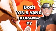 What If Naruto Had Both Yin & Yang Kurama?