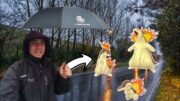 ¡LA LLUVIA NO NOS DETUVO DE ENCONTRA LO QUE BUSCÁBAMOS EN ESTE CD!!-POKÉMON GO