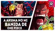 A AKUMA NO MI QUEBRADA QUE FOI BANIDA DA HISTÓRIA DE ONE PIECE – SBS28