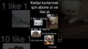 KEDİYİ KURTAR PT1