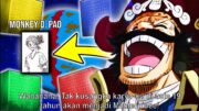 KEJENIUSAN ODA! DIA SUDAH MENYIAPKAN JOY BOY DARI 30 TAHUN LALU! – One Piece (Trivia)