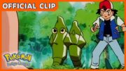 Metapod vs. Metapod! | Pokémon: Indigo League | Official Clip