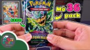 Mở bất chấp 36 pack Pokemon TCG Twilight Masquerade săn thẻ Greninja siêu hiếm ToyStation 880