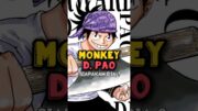 Monkey D. Pao Karakter Sebelum Luffy ❗ | One Piece #shorts