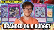 NO THRUST? Budget Branded Despia (1st Place) YuGiOh Deck Profile (ONLY 100$) – INFO Ready July 2024