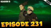 Naruto Shippuden EPISODE 231 Explained In हिंदी | Whirlpool