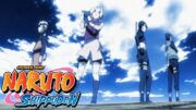 Naruto Shippuden – Opening 2 | Distance