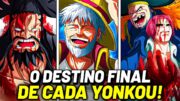 O TERRÍVEL DESTINO FINAL DE CADA YONKOU EM ONE PIECE – HISTÓRIA COMPLETA