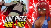 PAIN AND MOVING FORWARD!! | One Piece Episode 466/467 Reaction