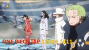 Review Anime | One Piece Tập 1110 + 1111 | Sự Hợp Tác Mới Và Kẻ Bí Ẩn Lộ Diện | Vua Hải Tặc