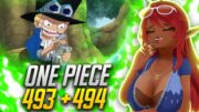 SABO AND BABIES!! | One Piece Episode 493/494 Reaction