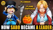 Sabo’s Secret : What Is He Really Planning? Sabo Explained in One Piece