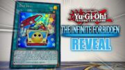 THIS Synchro DECK IS NUTS – The Infinite Forbidden