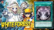 White Forest ft. Toy | EDOPRO | Replays 🎮 + Decklist ✔️ #whiteforest #yugioh