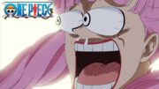 "I'm Always Negative" | One Piece