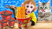 Baby Monkey Kiki enjoys spicy noodles & plays with kitten and duckling hallenge | KUDO ANIMAL KIKI