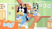 Exciting Moments with Bluey and Bingo! 😮 💙 🧡 | Bluey