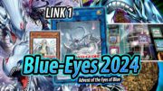 HUUUUUUUUUUH..??? LINK 1 Blue-Eyes DECK TESTING