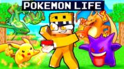 Having a POKEMON TRAINER LIFE in Minecraft!