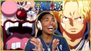 LET'S GO GET IT! BUGGY'S BIG DECLARATION | ONE PIECE EPISODE 1116 REACTION