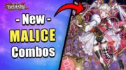 NEW MALICE ARCHETYPE!!! | PURE & SHIFTER MALICE COMBOS! | POST CROSSOVER BREAKERS! | Yu-Gi-Oh!