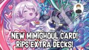 NEW MIMIGHOUL CARD EXTRA DECK RIPS! Yu-Gi-Oh!