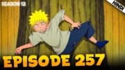 Naruto Shippuden EPISODE 257 Explained In हिंदी | Aniplainer