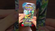 Opening a $22 Pokemon Mystery Box 📦