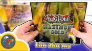 Tìm kiếm những tấm thẻ Yugioh chính hãng tuổi thơ với series Maximum Gold ToyStation 614